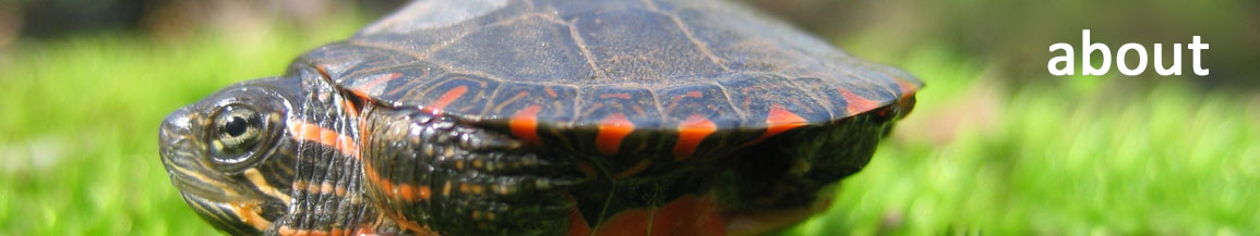 about cobb county watershed stewardship