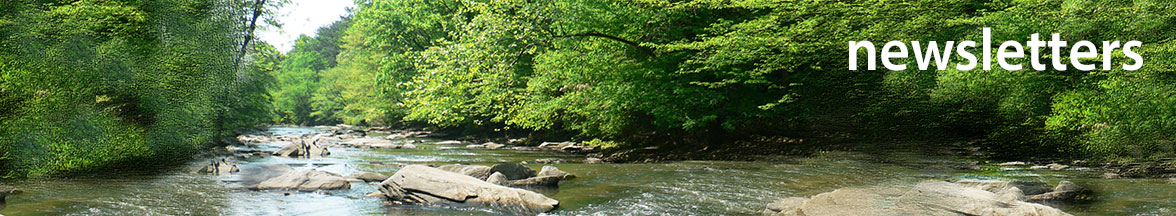 waterway cleanups